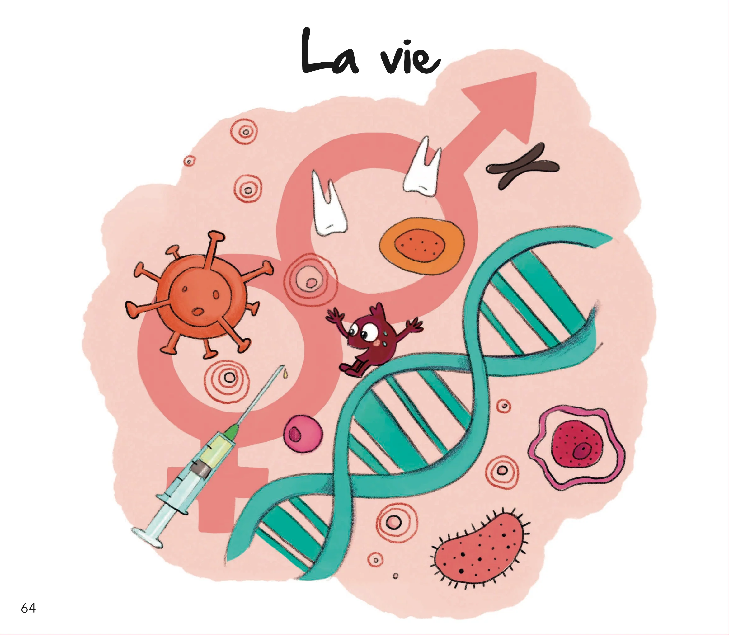 Image du produit 13
